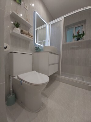Douche, sèche-cheveux, serviettes fournies, papier toilette
