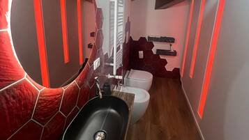 Shower, hair dryer, bidet, towels