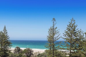 On the beach - Beachfront Escape in Burleigh Heads (Gold Coast)