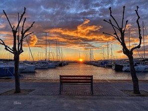 Marina
