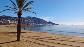 Una playa con una palmera, cielo despejado y una montaña al fondo.