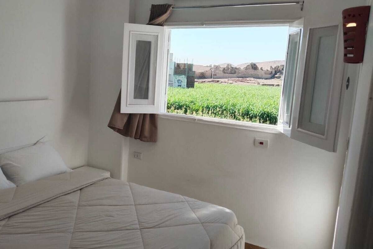 Signature Room | Egyptian cotton sheets, premium bedding, minibar (some free items)