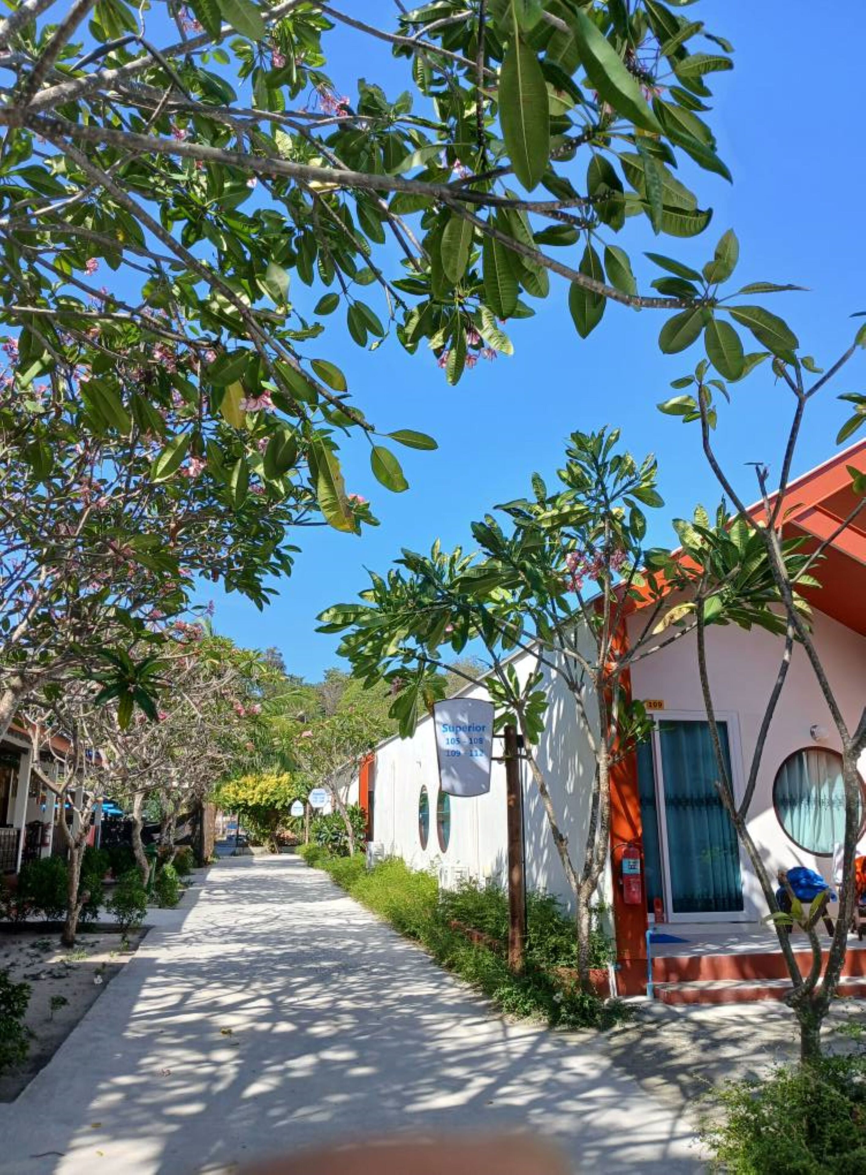 Enceinte de l’hébergement