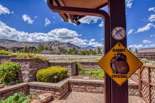 A sign indicating a rabbit crossing area with a mountainous landscape in the background. - BunnyLand Lodge | Panoramic Mt. Views | Fantastic Backyard Patio | Scenic Location in Flagstaff (Flagstaff)
