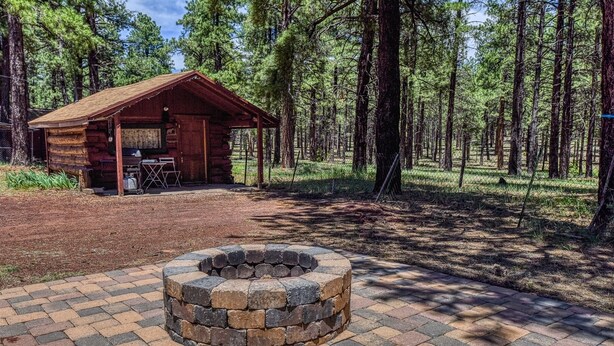 A rustic cabin with a stone fire pit in front, surrounded by a forest.