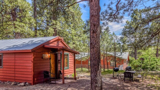 A red cabin with a porch, a picnic table, and a grill in a forested area.