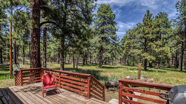 A wooden deck with a red bench and a grill, surrounded by a forested area.