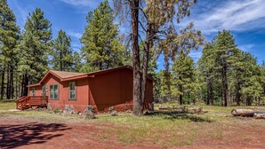 A red cabin with a porch and a small deck, surrounded by tall pine trees.