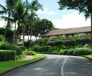 A resort with a curved road, palm trees, and a building with a tiled roof.