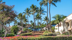 Un resort con palmeras, un puente y flores coloridas.