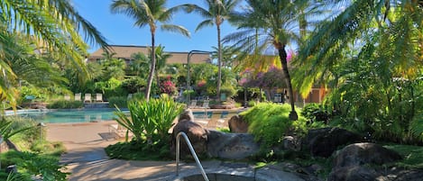 A resort pool area with a small water feature, palm trees, and lounge chairs.