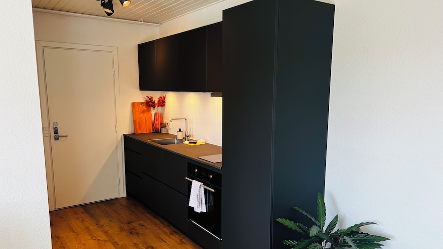 Cozy Flats Silkeborg - 1TH
