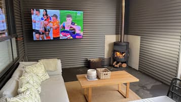 TV, fireplace, DVD player, books