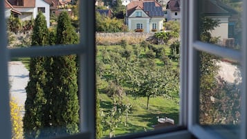 Comfort Apartment, Garden View | View from room
