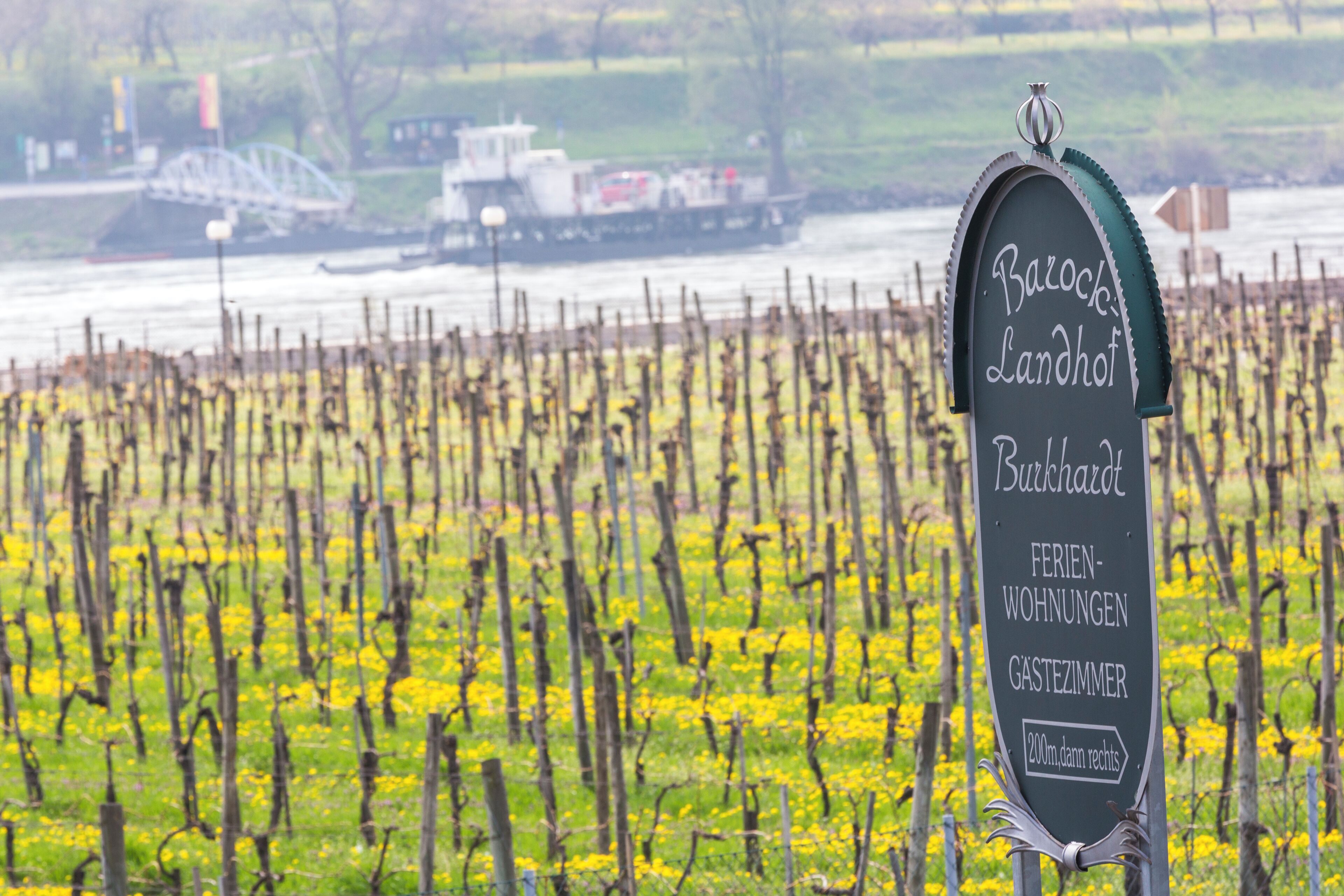 A vineyard with a sign indicating a Barock Landhof and Ferien-Wohnungen.