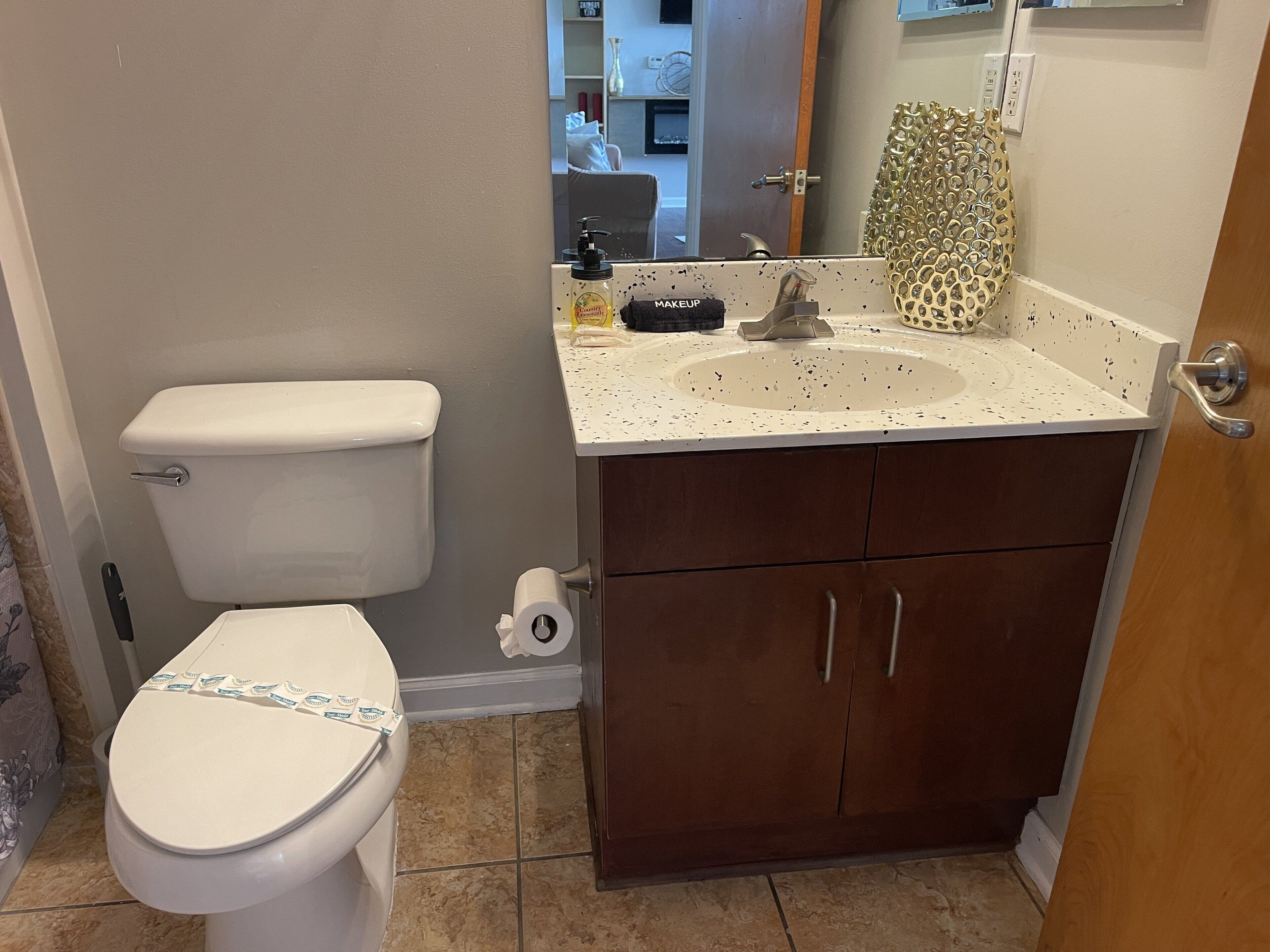 Ein Badezimmer mit Toilette, Waschbecken und Spiegel.