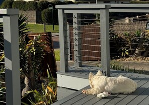 Property grounds - SORRENTO HOLIDAYS! LARGE GAS HEATED PLUNGE POOL & SPA, OUR LADY WILL IMPRESS! (Sorrento)