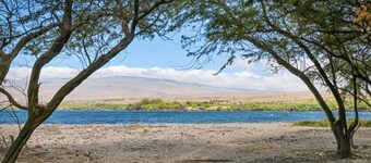 Across from the Beach - Sunsets, Ocean and Turtles