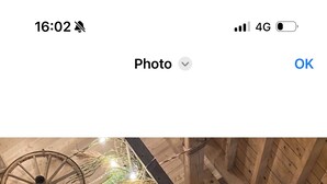 A room with wooden walls, a large wooden table, hanging plants, and string lights.