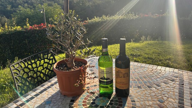 A potted plant and two wine bottles on a tiled table with a scenic view in the background. - 2bed-restored Farmhouse-san Gimignano-pool (San Gimignano)