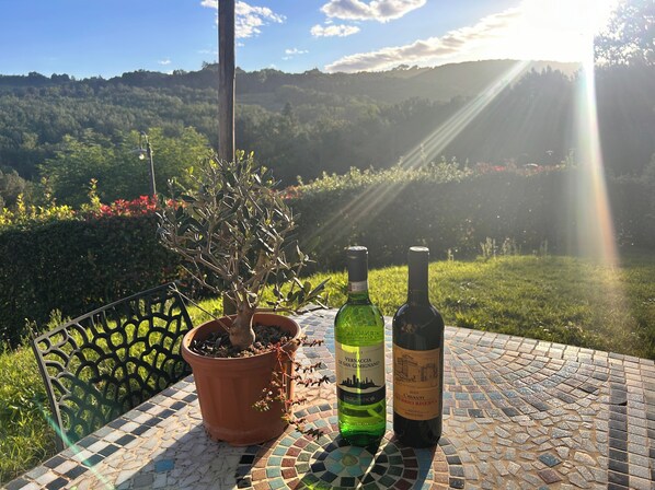 A potted plant and two wine bottles on a tiled table with a scenic view in the background.