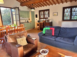 Apartment | Living area | Fireplace - 2bed-restored Farmhouse-san Gimignano-pool (San Gimignano)
