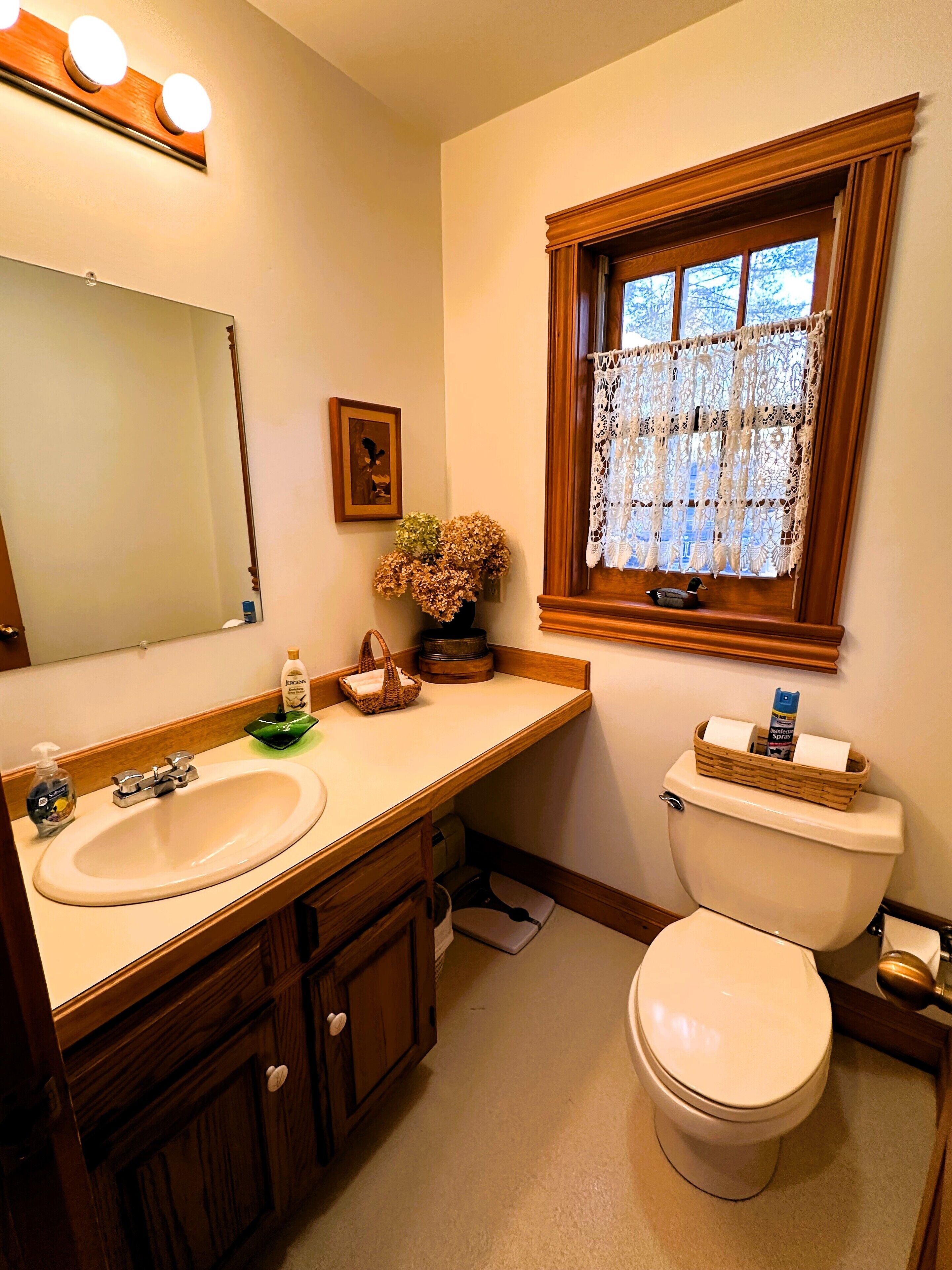 Een badkamer met een houten wastafelmeubel, een wastafel, een toilet en een raam met kantgordijnen.