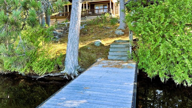 A wooden deck leading to a cabin surrounded by trees. - Camp Bear Claw, private home on the shores of Oseetah Lake.  (Saranac Lake)
