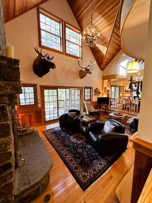 Smart TV, fireplace, books, music library