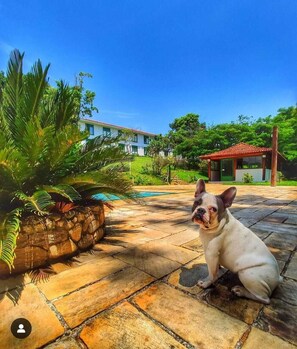 3 outdoor pools, pool umbrellas, sun loungers