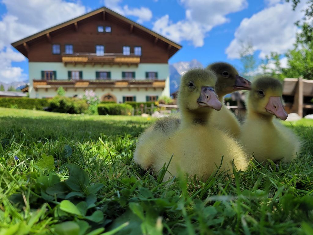Unterbiberghof