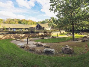 Guests can relax amidst lush greenery and scenic views.