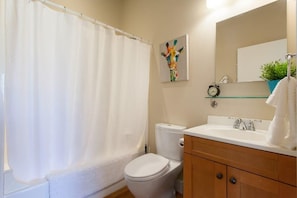 Shower, hair dryer, shampoo