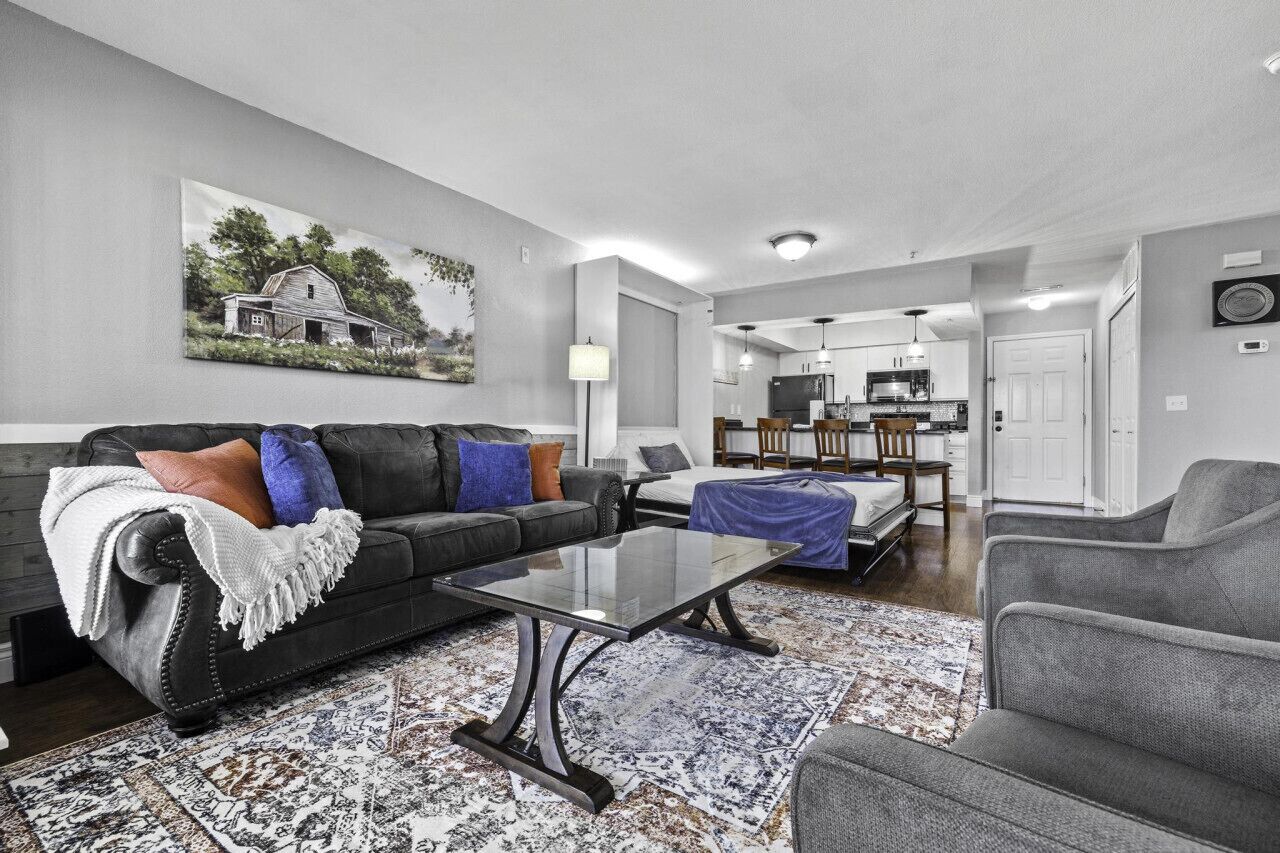 智能电视、壁炉、DVD 播放器