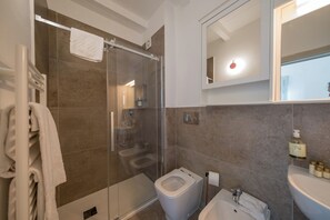 Shower, hair dryer, bidet, towels - Apartment with mezzanine on the Lungarno in Pisa (Pisa)