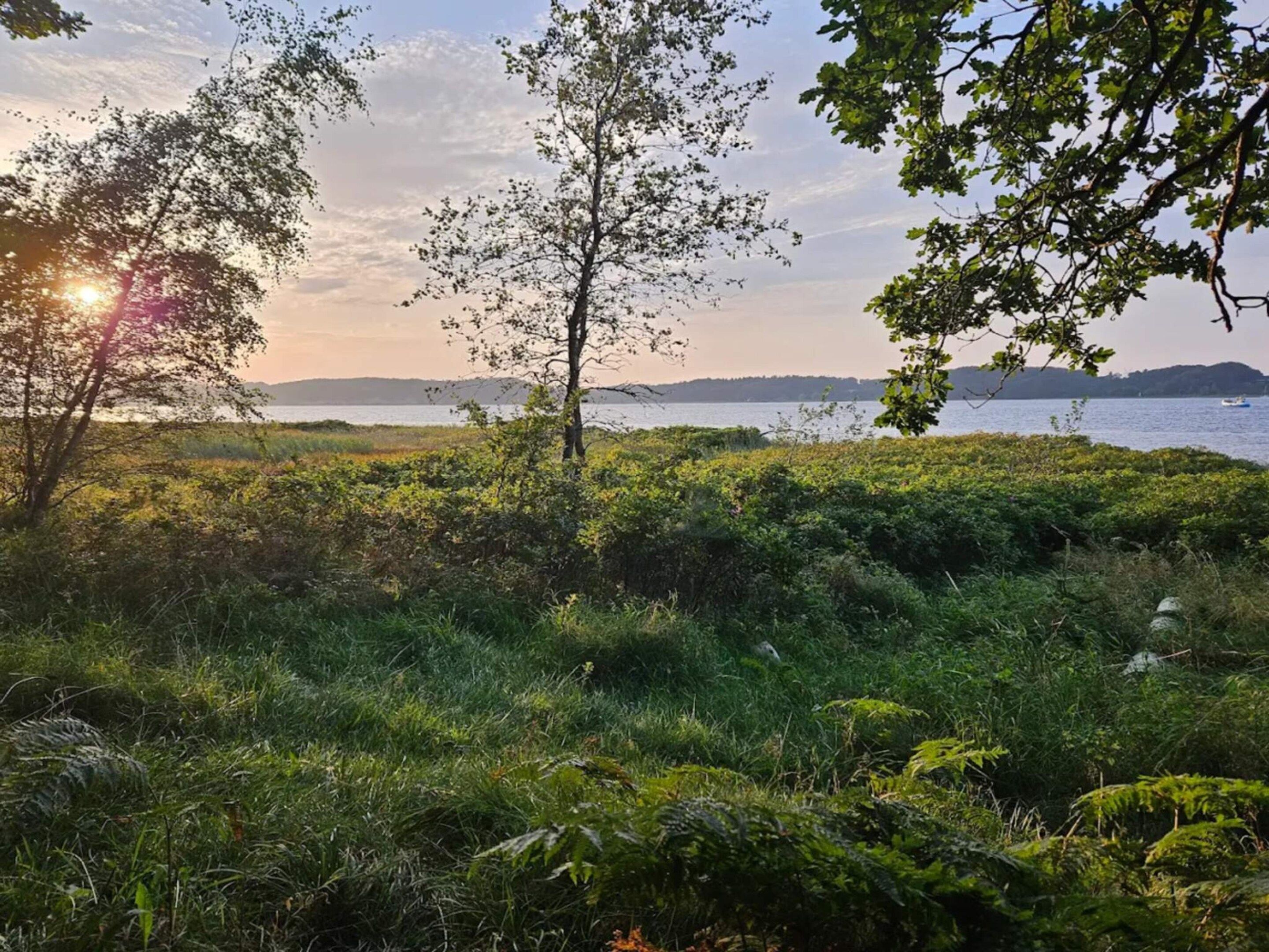 A natural landscape with a body of water, trees, and a distant shoreline.