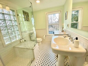 Shower, hair dryer, towels