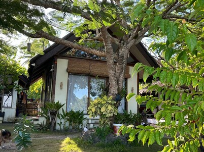 Charming beach front villa  for 4 guess max, with W/fi,AC in lovely General Luna