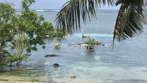 A beach with clear water, rocks, and palm trees. - Charming beach front villa  for 2  guess max, with Starlink internet in GL (General Luna)