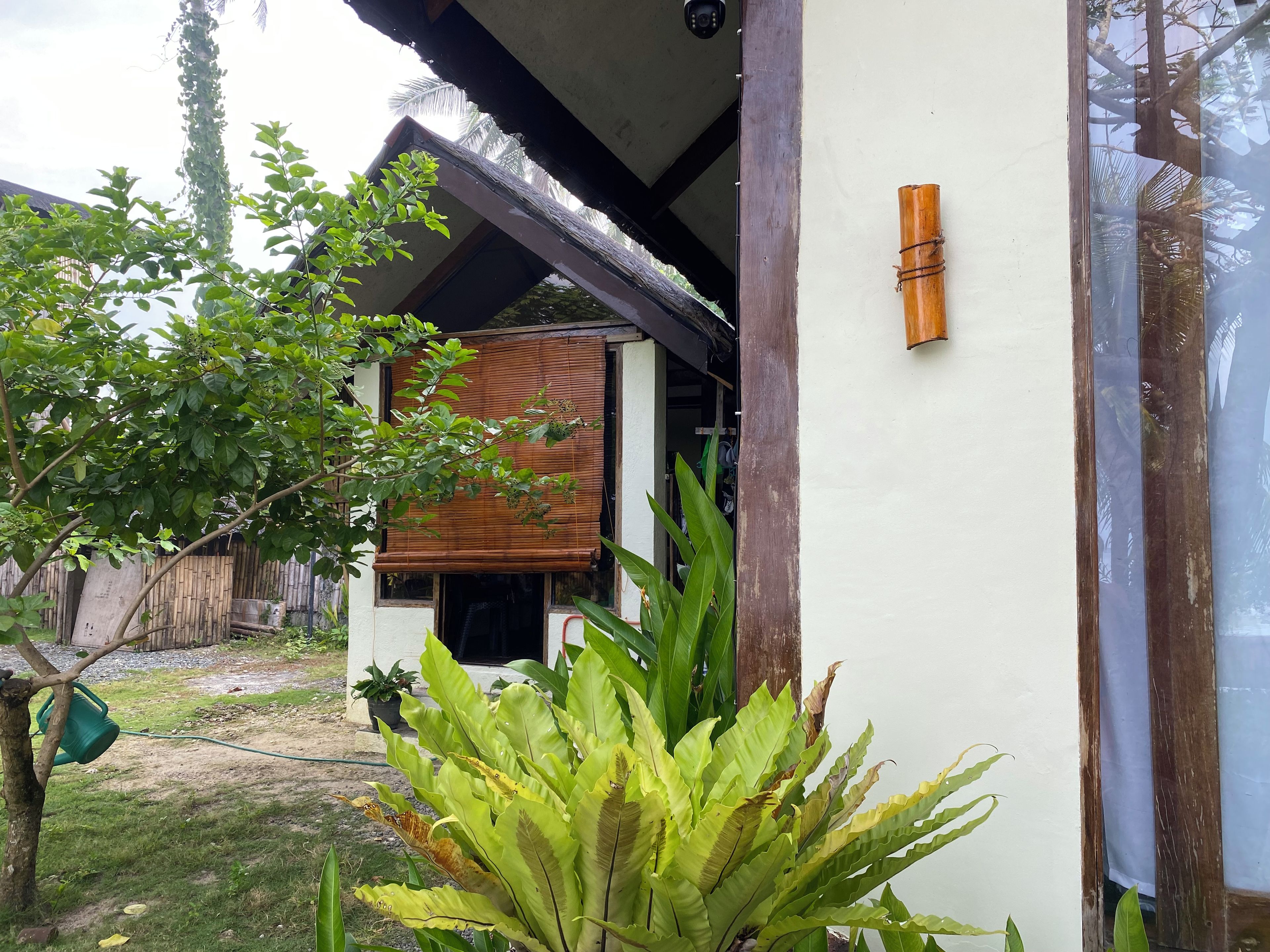 A house with a covered porch, a wooden door, and a potted plant in the foreground.