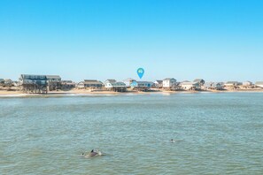 Una zona costera con casas cerca del agua, un muelle y un marcador de ubicación.