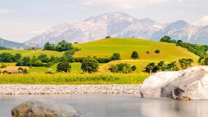 Un paisaje sereno con un río, una roca grande y una colina con árboles.