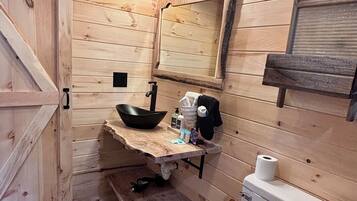 Shower, hair dryer, towels, toilet paper