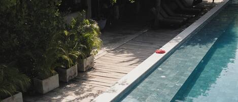 Una piscina con cubierta de madera y plantas en macetas.
