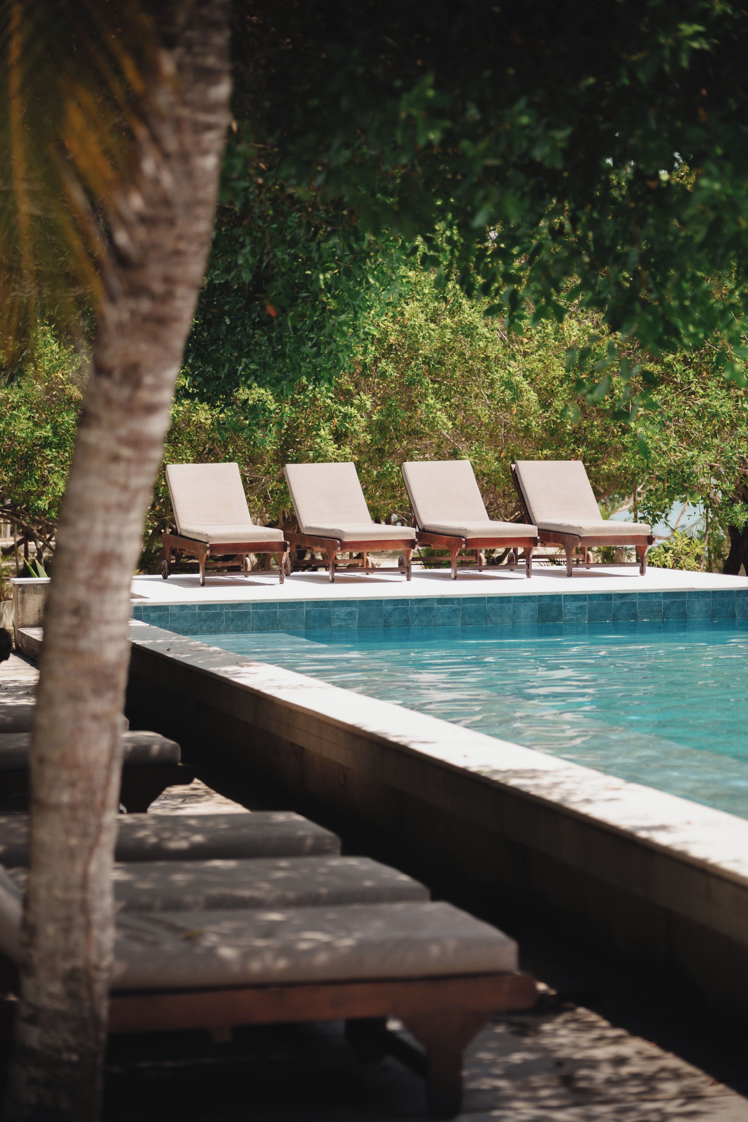 A poolside area with lounge chairs and a clear blue pool.