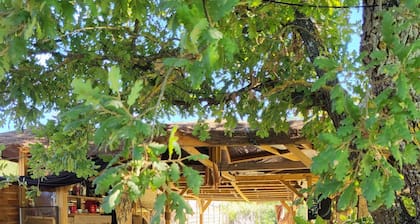 Jolie Villa en Provence Verte