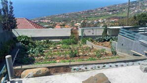 A rooftop garden with a variety of plants and a view of a coastal town. - Casa Monte de Paz 1

 (Calheta)