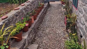 Un étroit sentier de pierre mène à une maison avec un toit en tuiles et une porte.