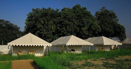 Kumbh Mela Camp67