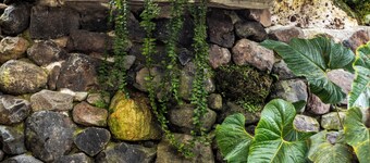 "Cabaña Pradera Real - Nature, Mountains and Relaxation near Baños"